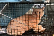 Photo of Kroger 1 Photo of Kroger 1