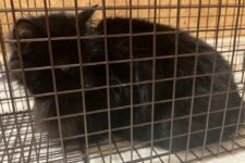 Photo of Kroger 11 Photo of Kroger 11