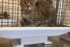 Photo of Kroger 12b Photo of Kroger 12b