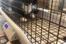 Photo of Kroger 13b Photo of Kroger 13b