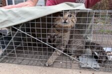 Photo of Kroger 14b Photo of Kroger 14b