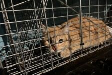 Photo of Kroger 2 Photo of Kroger 2