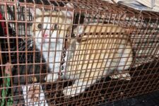 Photo of Kroger 3 Photo of Kroger 3