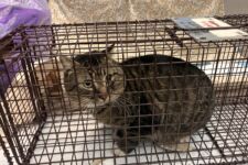 Photo of Kroger 4 Photo of Kroger 4