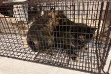 Photo of Kroger 5 Photo of Kroger 5