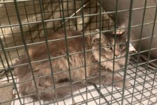 Photo of Kroger 6 Photo of Kroger 6