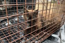 Photo of Kroger 7 Photo of Kroger 7