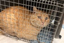 Photo of Kroger 8 Photo of Kroger 8