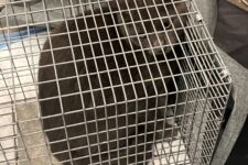 Photo of Kroger 9 Photo of Kroger 9