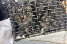 Photo of Preserve 2 Photo of Preserve 2