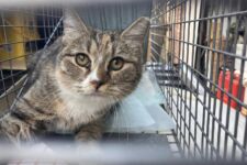 Photo of Preserve 3 Photo of Preserve 3