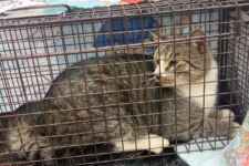 Photo of Preserve 5 Photo of Preserve 5