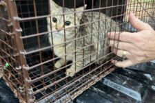 Photo of Preserve 6 Photo of Preserve 6