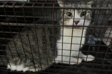 Photo of Preserve 7 Photo of Preserve 7