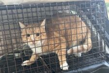 Photo of Preserve 8 Photo of Preserve 8