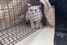 Photo of Preserve 1 Photo of Preserve 1