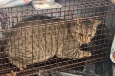 Photo of Preserve 4 Photo of Preserve 4